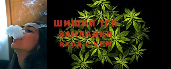 твердый Михайлов