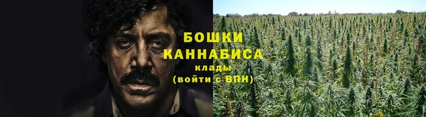 твердый Михайлов