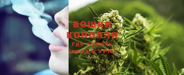 гидра Мегион