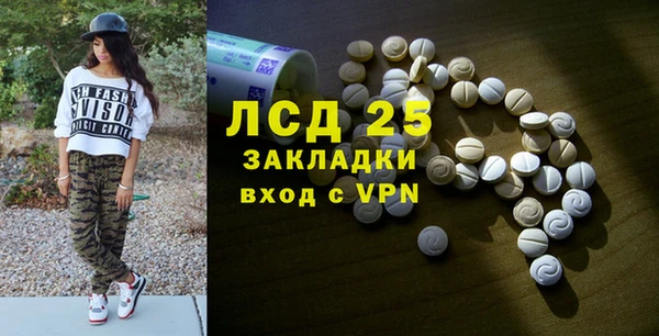 твердый Михайлов
