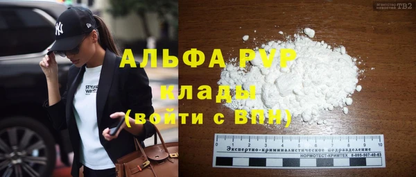 твердый Михайлов